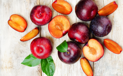 Get to Know Natalia Guzmán, Content Creator for Nutrition In Demand